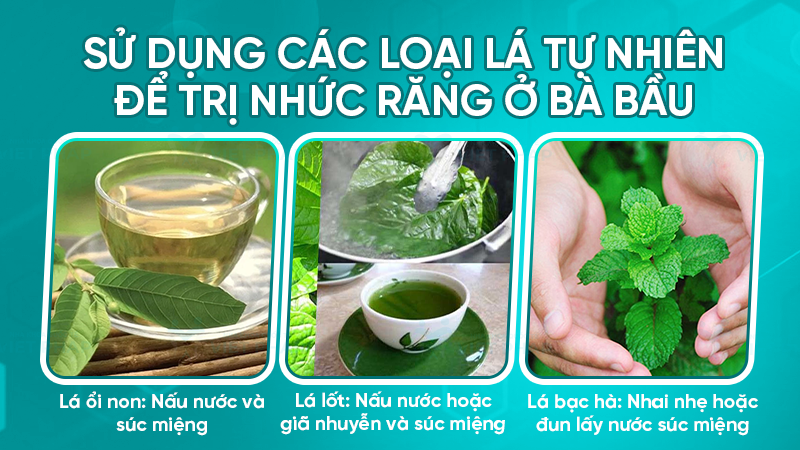 Sử dụng các loại lá tự nhiên để trị nhức răng ở bà bầu