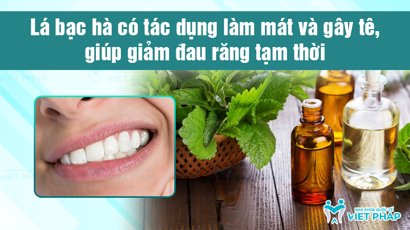 Lá bạc hà có tác dụng làm mát và gây tê, giúp giảm đau răng tạm thời