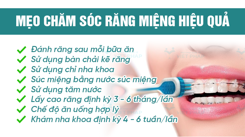 Mẹo chăm sóc răng miệng hiệu quả