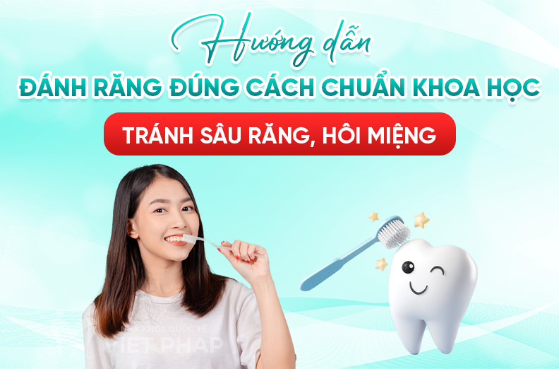 6 bước đánh răng đúng cách ngừa mảng bám và sâu răng hiệu quả