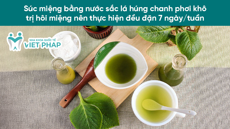 tri hoi mieng sau 1 dem hieu qua 3.6 Súc miệng bằng nước sắc lá húng chanh phơi khô trị hôi miệng nên thực hiện đều đặn 7 ngày/tuần