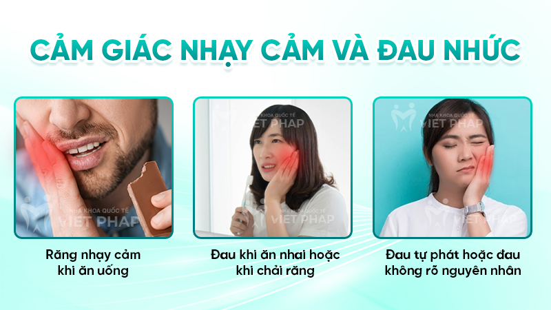 dau hieu sau rang 2 Cảm giác nhạy cảm và đau nhức