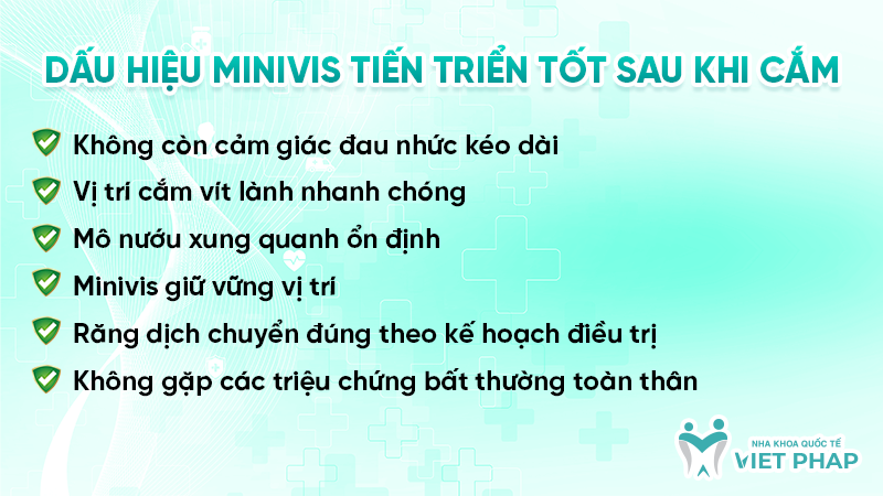 Dấu hiệu Minivis tiến triển tốt sau khi cắm