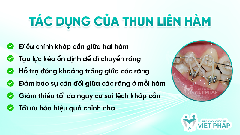 thun lien ham 3 Tác dụng của thun liên hàm