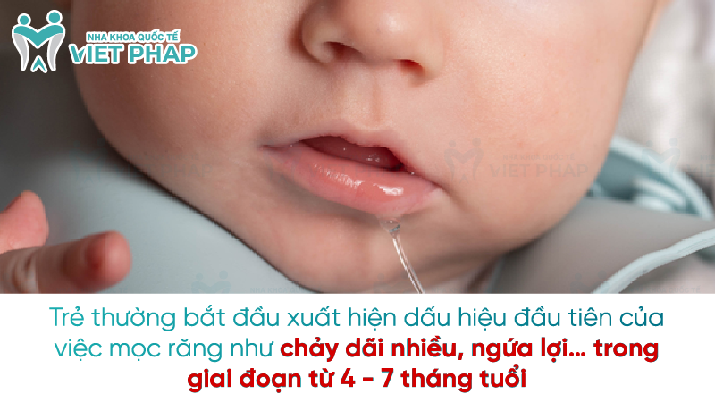 Sot moc rang 2 Trẻ thường bắt đầu xuất hiện dấu hiệu đầu tiên của việc mọc răng như chảy dãi nhiều, ngứa lợi… trong giai đoạn từ 4 - 7 tháng tuổi