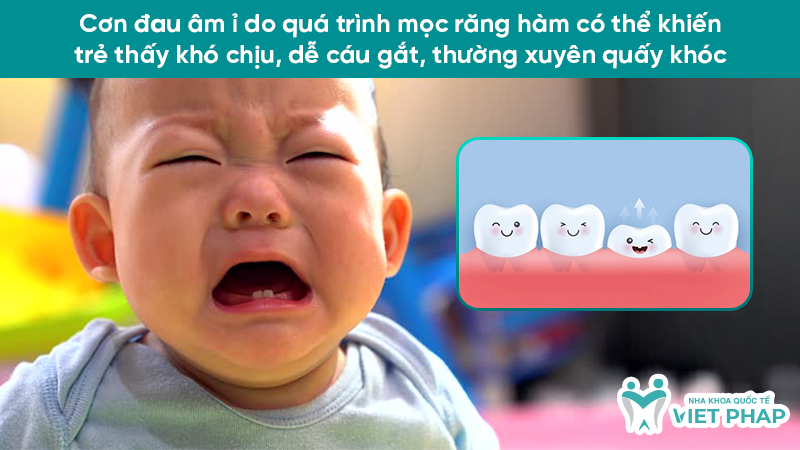 hinh anh tre sap moc rang ham 2.3 Cơn đau âm ỉ do quá trình mọc răng hàm có thể khiến trẻ thấy khó chịu, dễ cáu gắt, thường xuyên quấy khóc