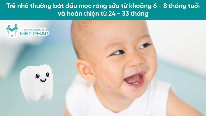 Trẻ nhỏ thường bắt đầu mọc răng sữa từ khoảng 6 - 8 tháng tuổi và hoàn thiện từ 24 - 33 tháng