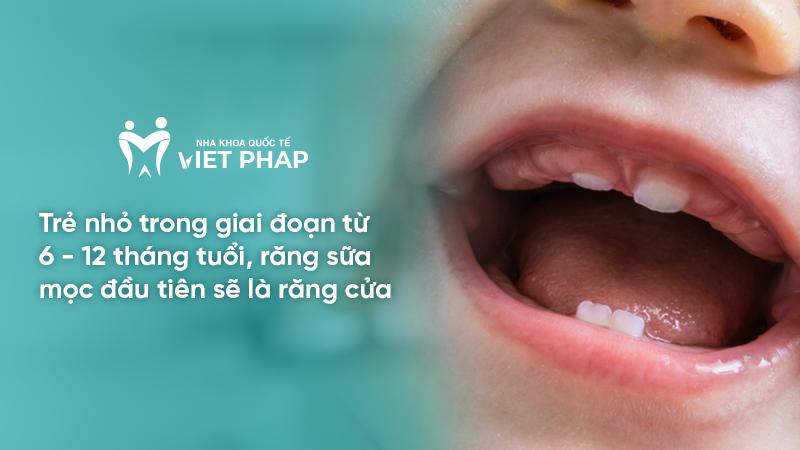 Trẻ nhỏ trong giai đoạn từ 6 - 12 tháng tuổi, răng sữa mọc đầu tiên sẽ là răng cửa