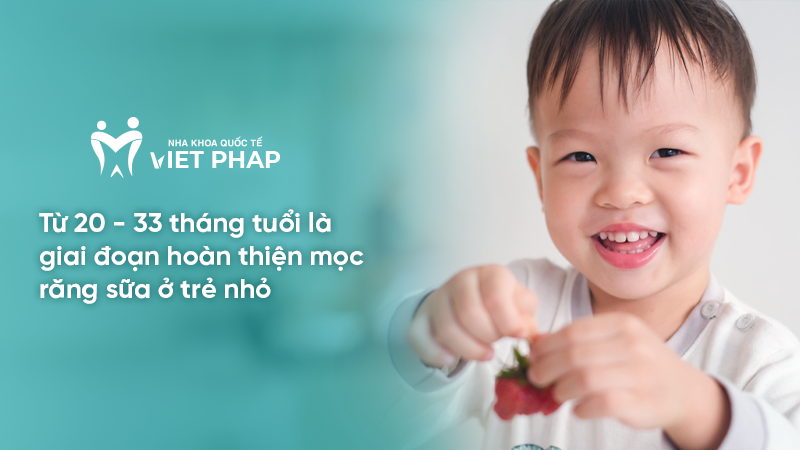 Từ 20 - 33 tháng tuổi - Giai đoạn hoàn thiện mọc răng sữa ở trẻ nhỏ