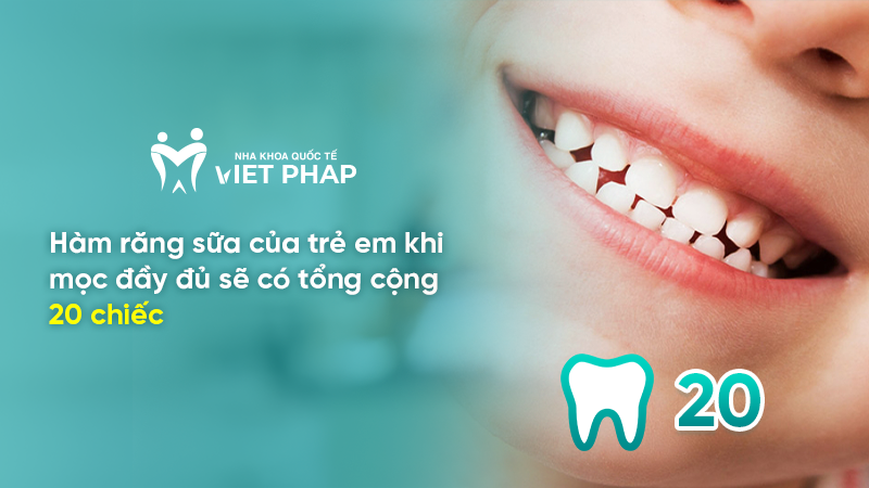 Hàm răng sữa của trẻ em khi mọc đầy đủ sẽ có tổng cộng 20 chiếc