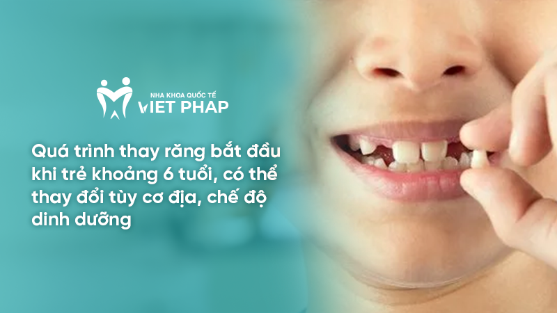 Quá trình thay răng bắt đầu khi trẻ khoảng 6 tuổi, có thể thay đổi tùy cơ địa, chế độ dinh dưỡng
