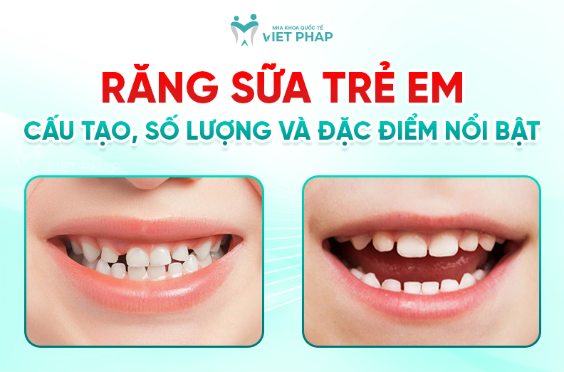 Răng sữa trẻ em - Cấu tạo, số lượng, đặc điểm vai trò cha mẹ cần biết