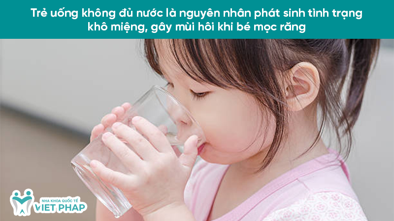 be bi hoi mieng khi moc rang 2.7 Trẻ uống không đủ nước là nguyên nhân phát sinh tình trạng khô miệng, gây mùi hôi khi bé mọc răng
