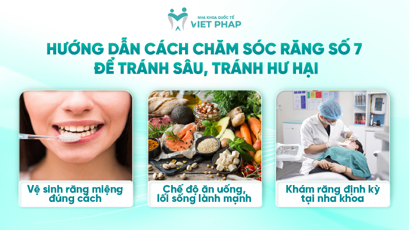 251203 rang so 7 o vi tri nao 06 Hướng dẫn cách chăm sóc răng số 7 để tránh sâu, tránh hư hại