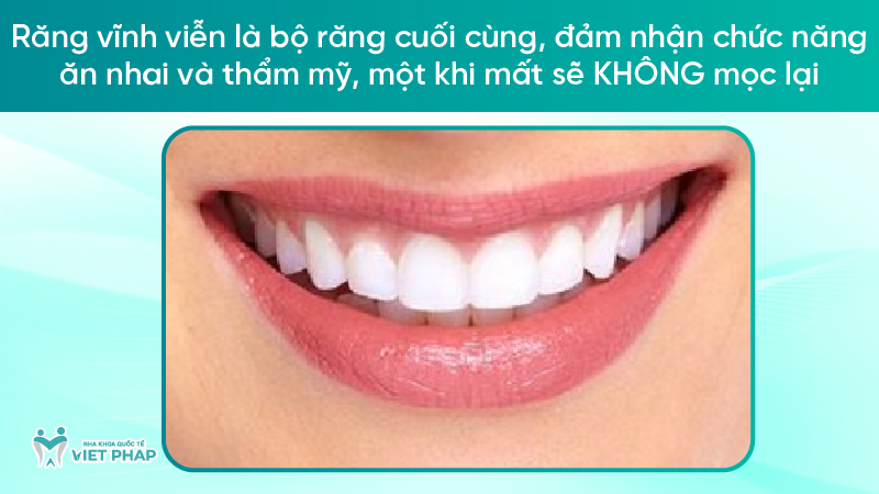 251211 rang vinh vien 02 Răng vĩnh viễn là bộ răng cuối cùng, đảm nhận chức năng ăn nhai và thẩm mỹ, một khi mất sẽ KHÔNG mọc lại