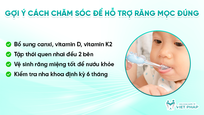 Gợi ý cách chăm sóc để hỗ trợ răng mọc đúng