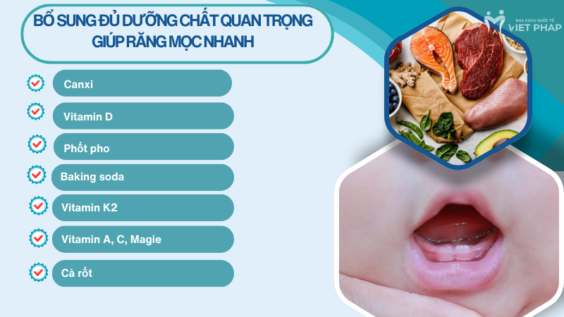 Bổ sung đủ dưỡng chất quan trọng giúp răng mọc nhanh