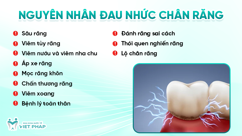 dau nhuc chan rang 2.3 Nguyên nhân đau nhức chân răng