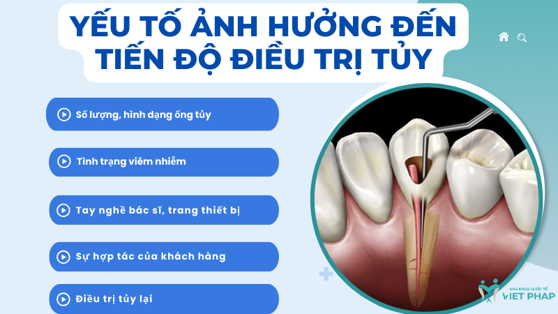Yếu tố ảnh hưởng đến tiến độ điều trị tủy