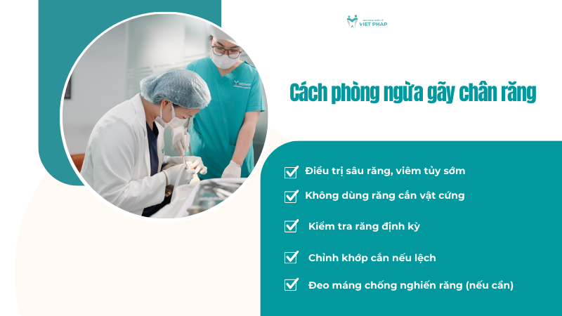 Cách phòng ngừa gãy chân răng