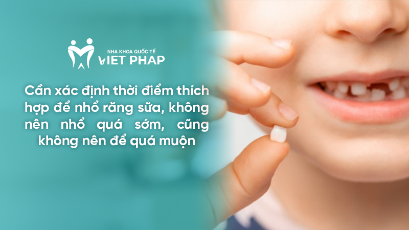 Cần xác định thời điểm thích hợp để nhổ răng sữa, không nên nhổ quá sớm, cũng không nên để quá muộn