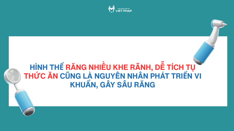 nguyen nhan gay sau rang 2 Hình thể răng nhiều khe rãnh, dễ tích tụ thức ăn cũng là nguyên nhân phát triển vi khuẩn, gây sâu răng