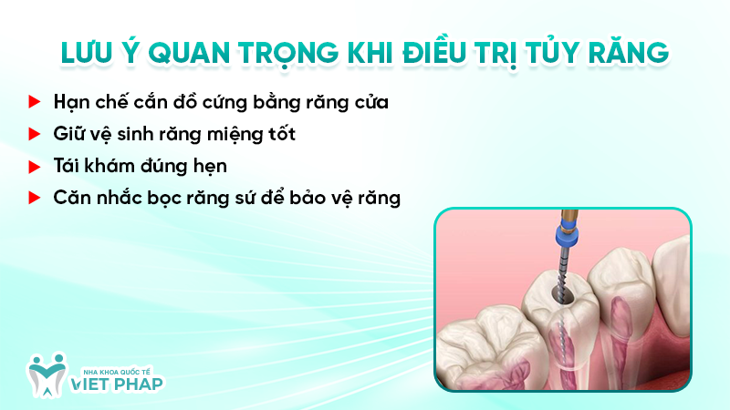 tuy rang cua 6 Lưu ý quan trọng khi điều trị tủy răng cửa