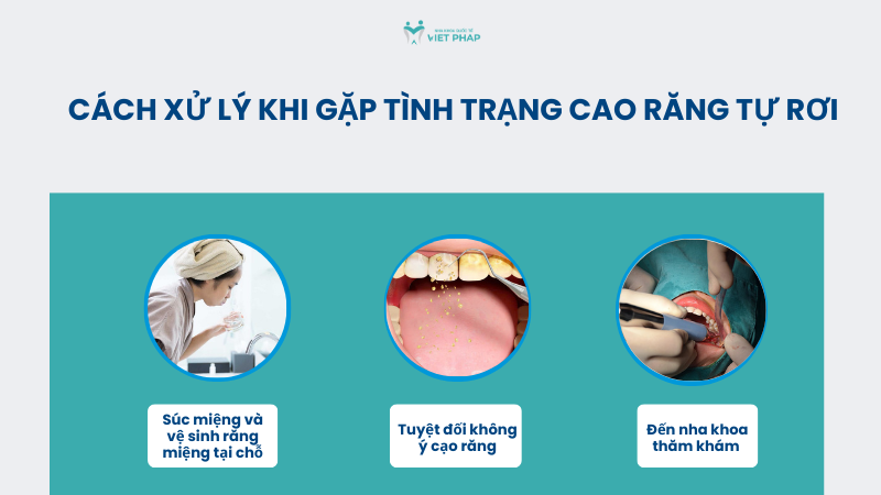 cao rang tu roi ra co tot khong 4 Cách xử lý khi gặp tình trạng cao răng tự rơi