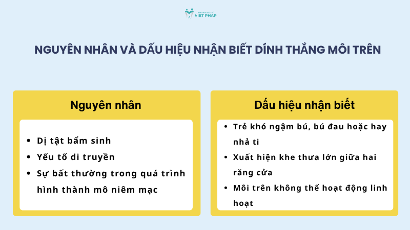 Nguyên nhân và dấu hiệu nhận biết dính thắng môi trên