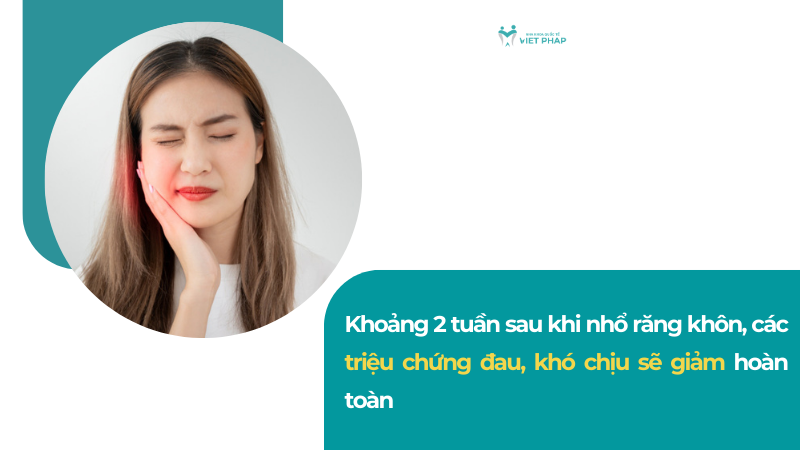 Khoảng 2 tuần sau khi nhổ răng khôn, các triệu chứng đau, khó chịu sẽ giảm hoàn toàn