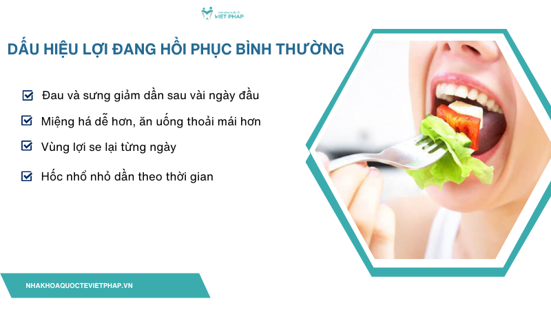 Dấu hiệu lợi đang hồi phục bình thường