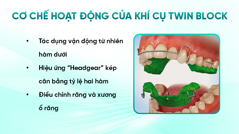 Cơ chế hoạt động của khí cụ Twin Block
