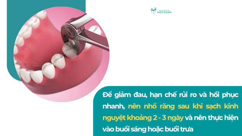 den thang co nho rang duoc khong 4 Để giảm đau, hạn chế rủi ro và hồi phục nhanh, nên nhổ răng sau khi sạch kinh nguyệt khoảng 2 - 3 ngày và nên thực hiện vào buổi sáng hoặc buổi trưa