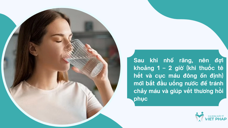 Sau khi nhổ răng, nên đợi khoảng 1 – 2 giờ (khi thuốc tê hết và cục máu đông ổn định) mới bắt đầu uống nước để tránh chảy máu và giúp vết thương hồi phục