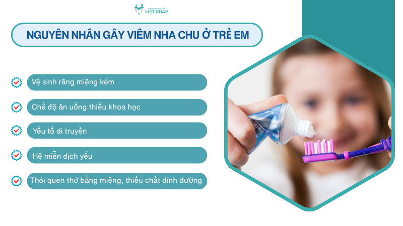 viem nha chu o tre em 3 Nguyên nhân gây viêm nha chu ở trẻ em