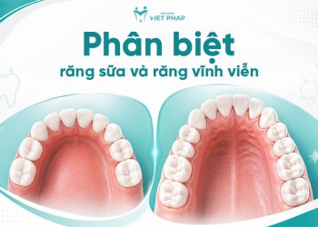phan biet rang sua va rang vinh vien 1 6 điểm phân biệt răng sữa và răng vĩnh viễn cha mẹ cần đặc biệt chú ý