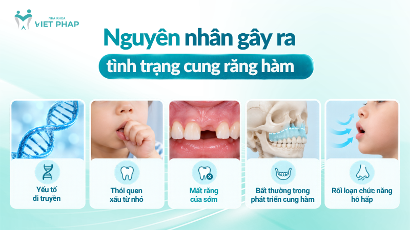 cung ham hep 2 Nguyên nhân gây ra tình trạng cung răng hàm