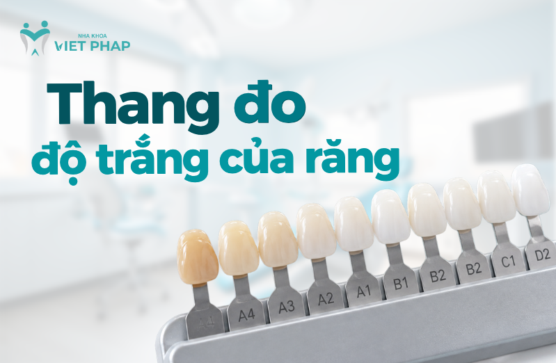 thang do do trang cua rang thumb